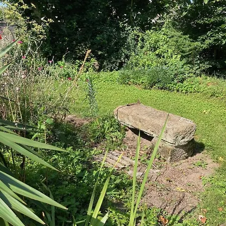 La Doucelle Culture Et Bien-etre Lignieres-Orgeres