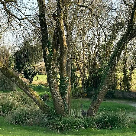 La Doucelle Culture Et Bien-etre 3* Lignieres-Orgeres