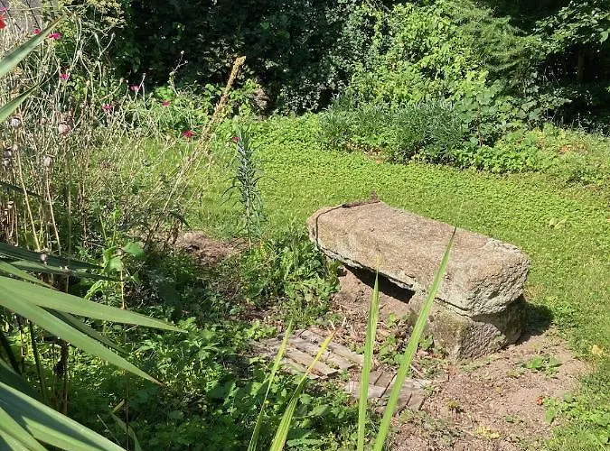 La Doucelle Culture Et Bien-etre Lignieres-Orgeres